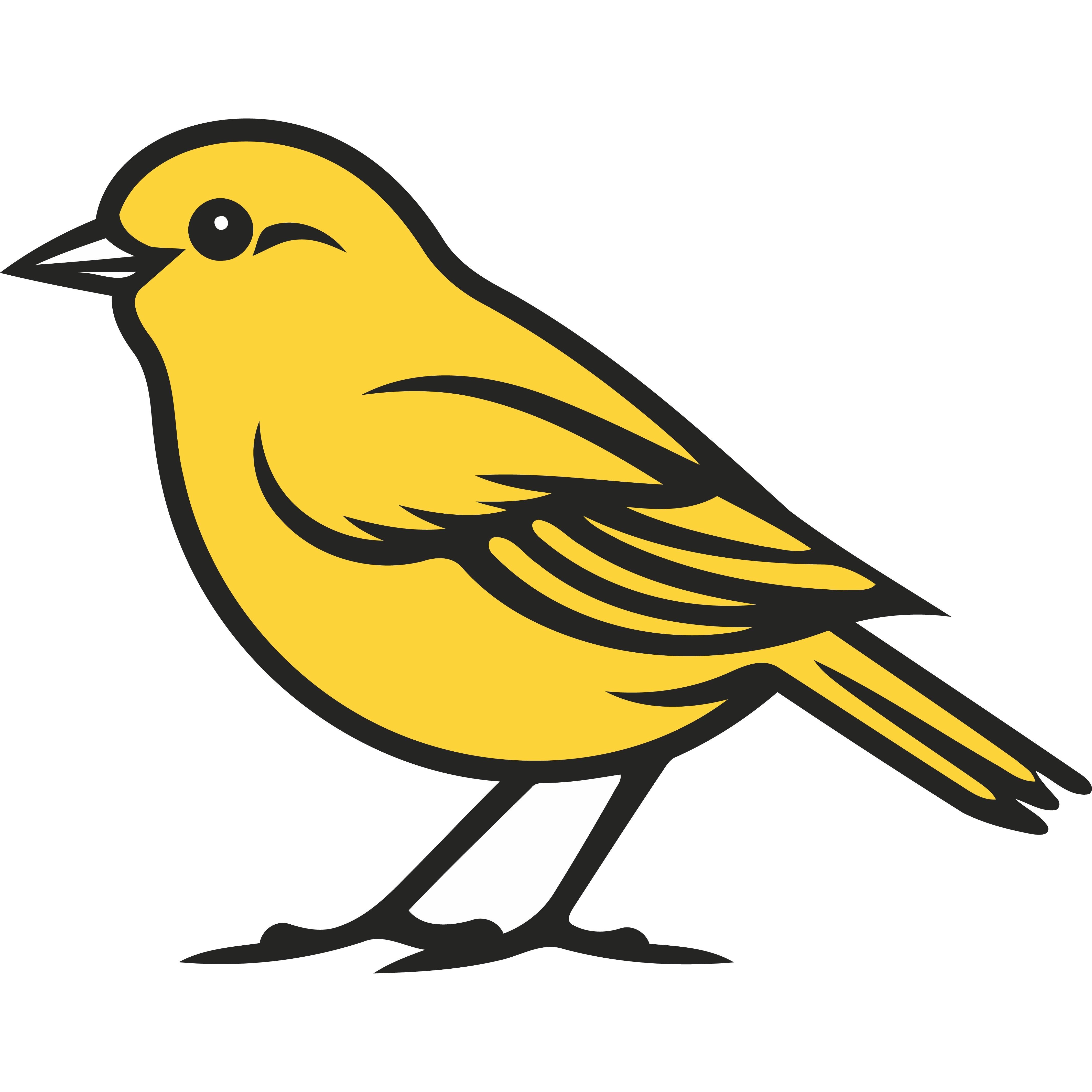 DataCanary bird logo